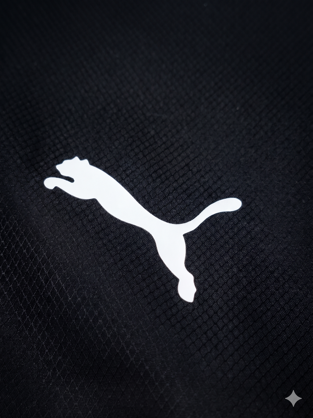 Chaqueta Moto sport BMW x Puma
