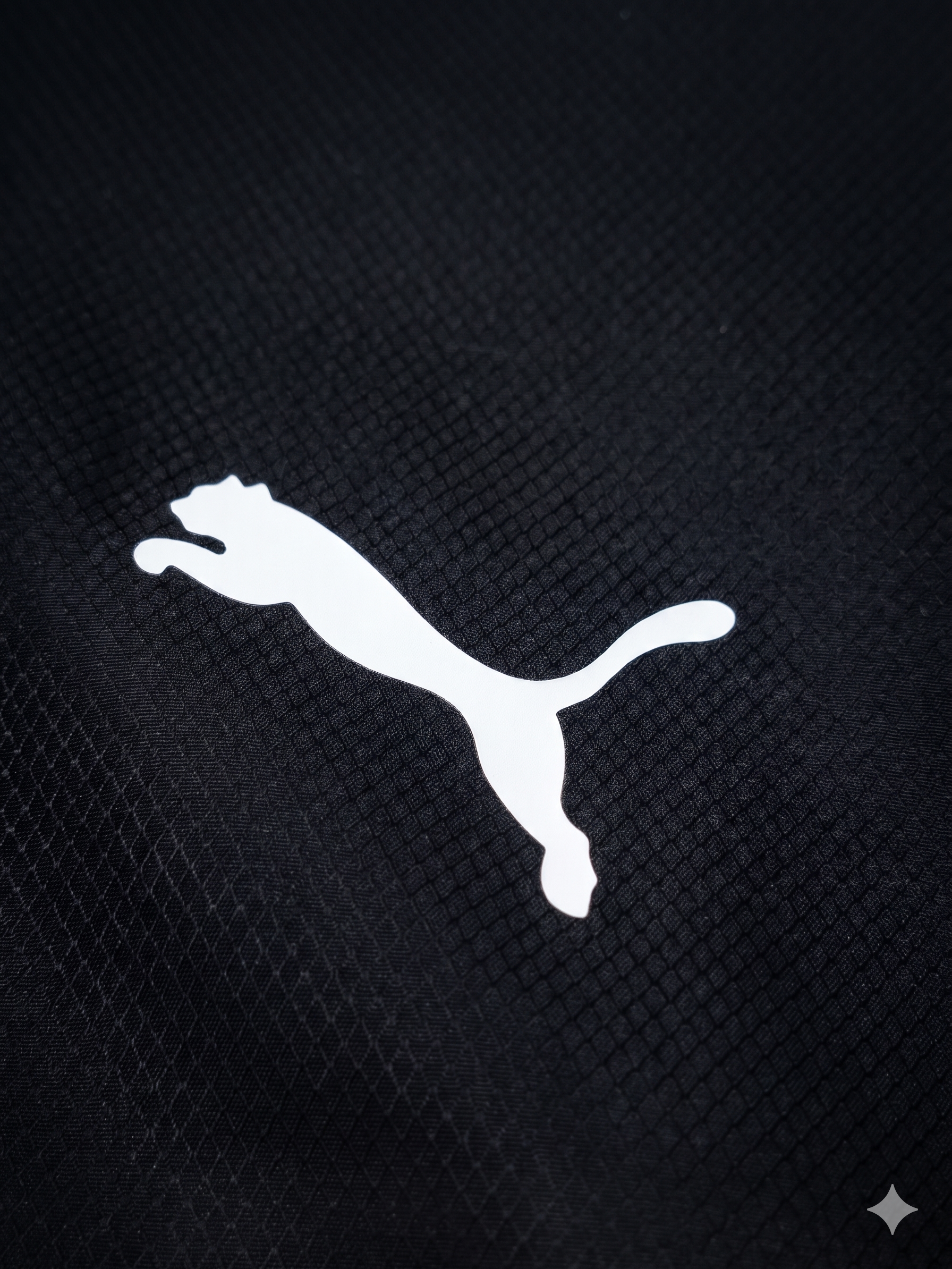 Chaqueta Moto sport BMW x Puma