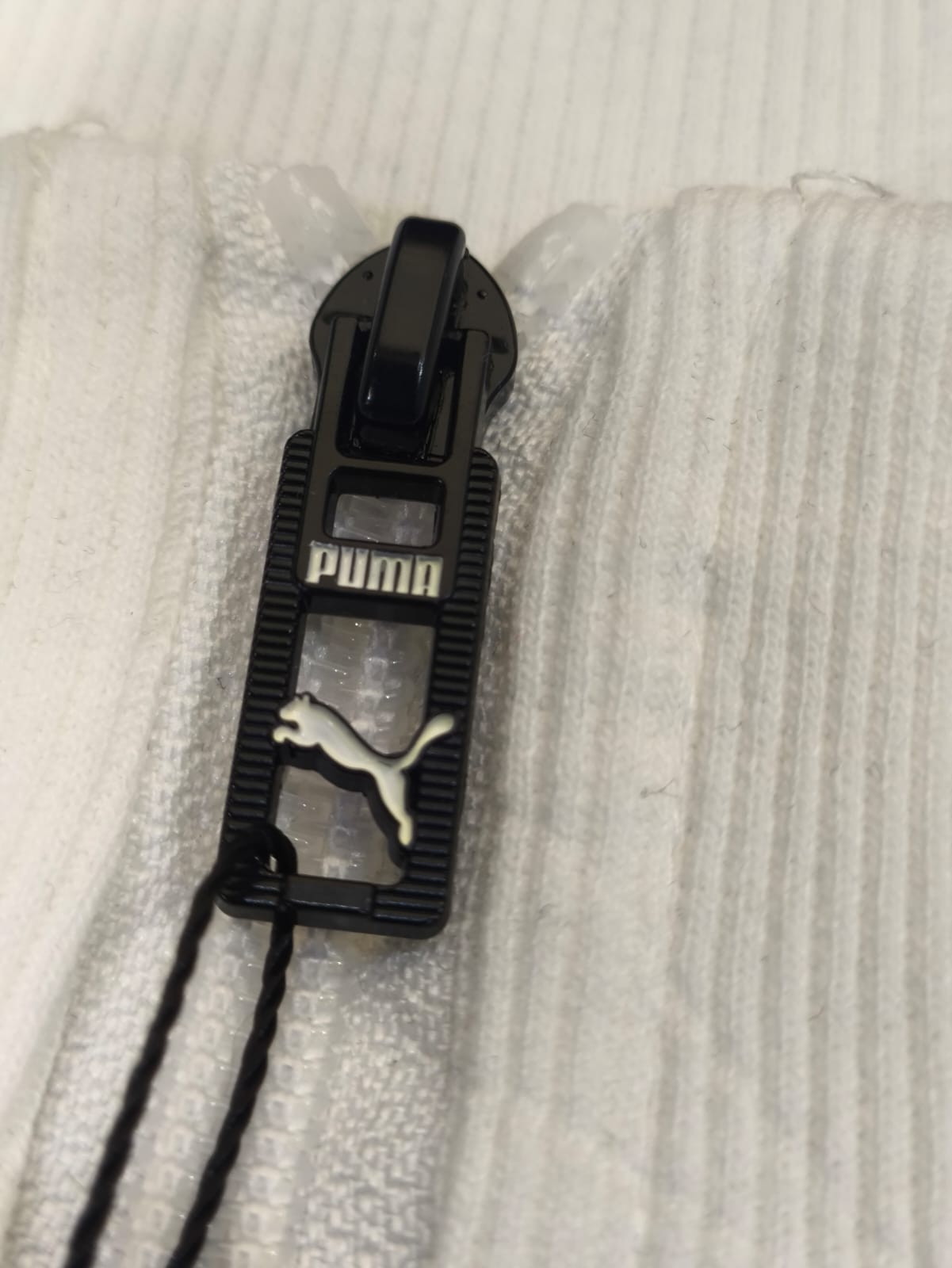 Escudería Ferrari PUMA