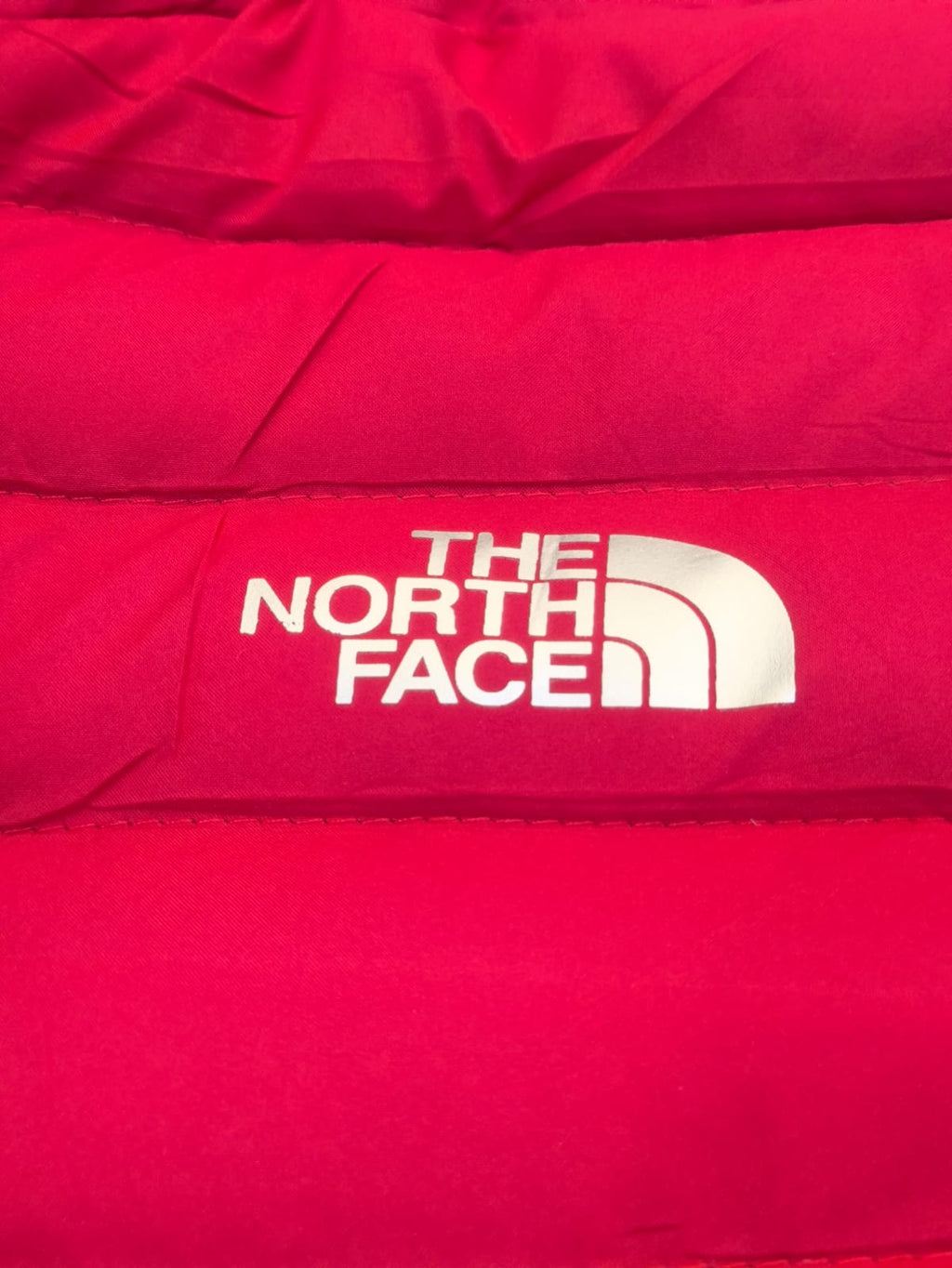 Chaqueta THE NORTH FACE Termo sellada